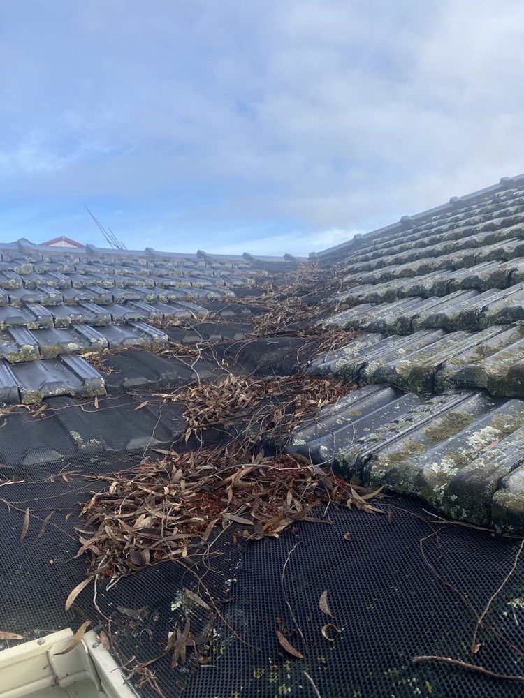 Roof gutter valley full of leaves and debris — before