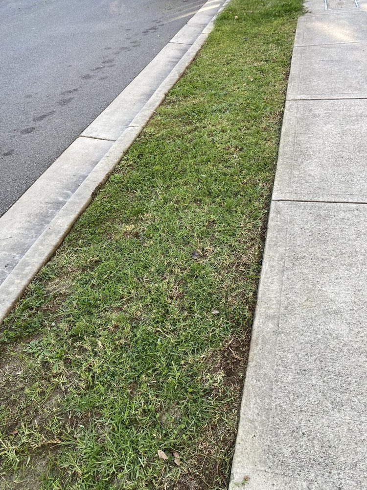 Neatly mowed and edged kerbside lawn
